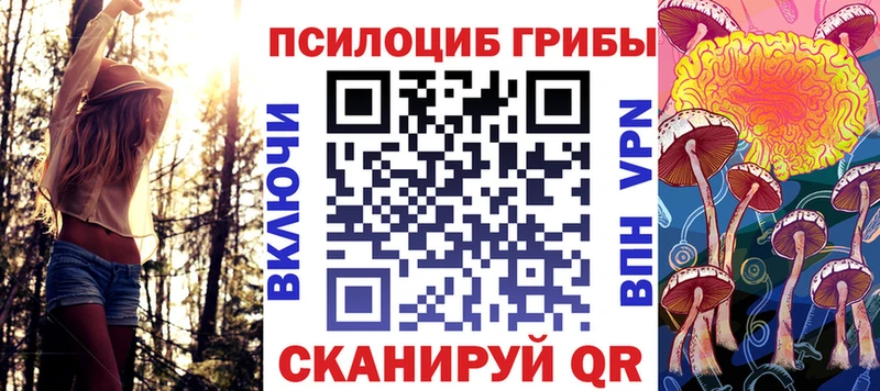 Галлюциногенные грибы Psilocybe  Ужур 